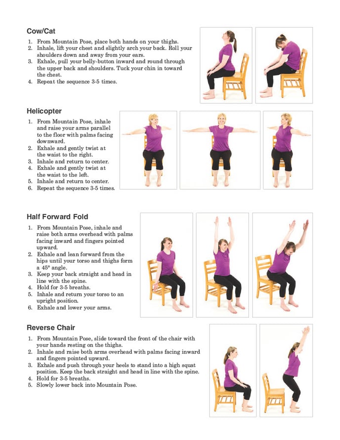 Chair Yoga Exercises