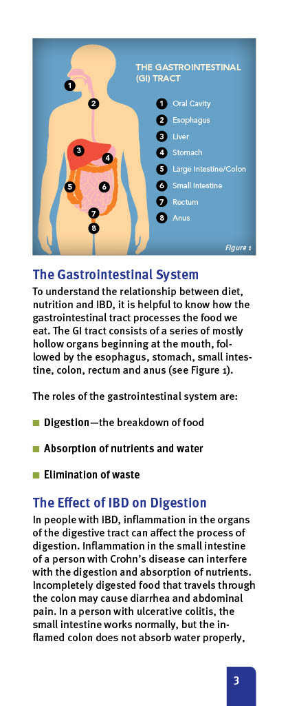 Crohns and Colitis Foundation Diet and IBD1024_5-1