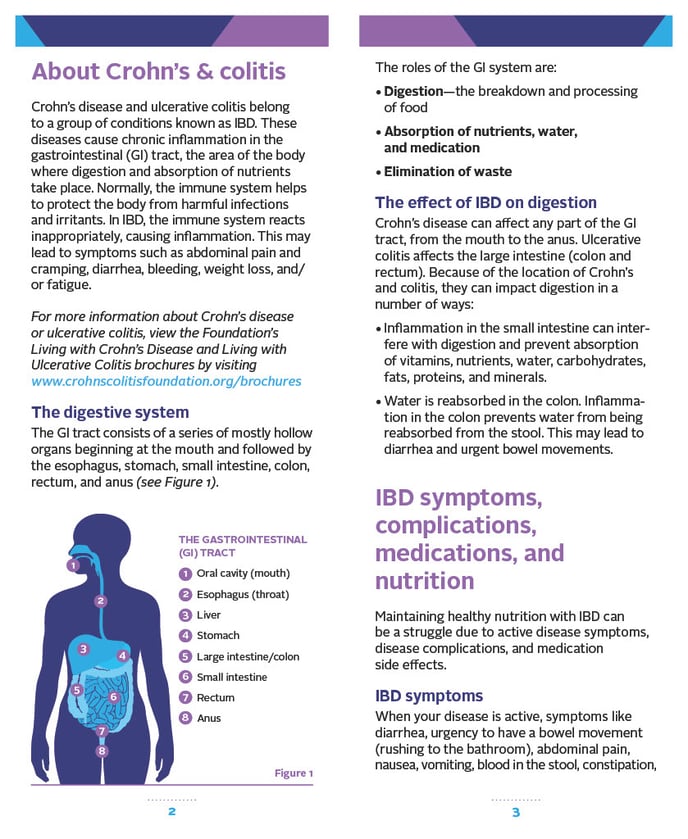 Diet and Nutrition Brochure IBD1024_3