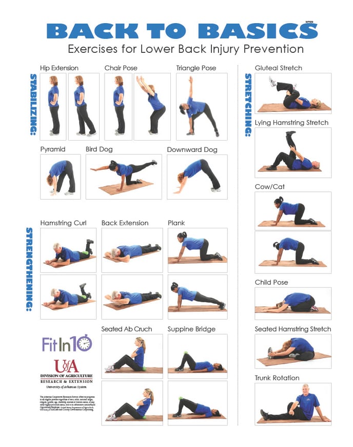 Exercises for Low Back Injury Prevention1024_1