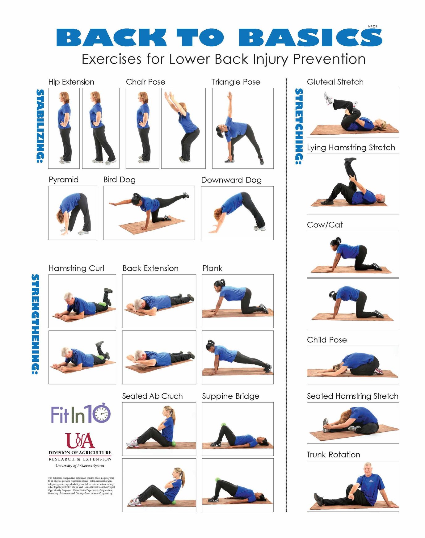 Exercises for Lower Back Injury Prevention