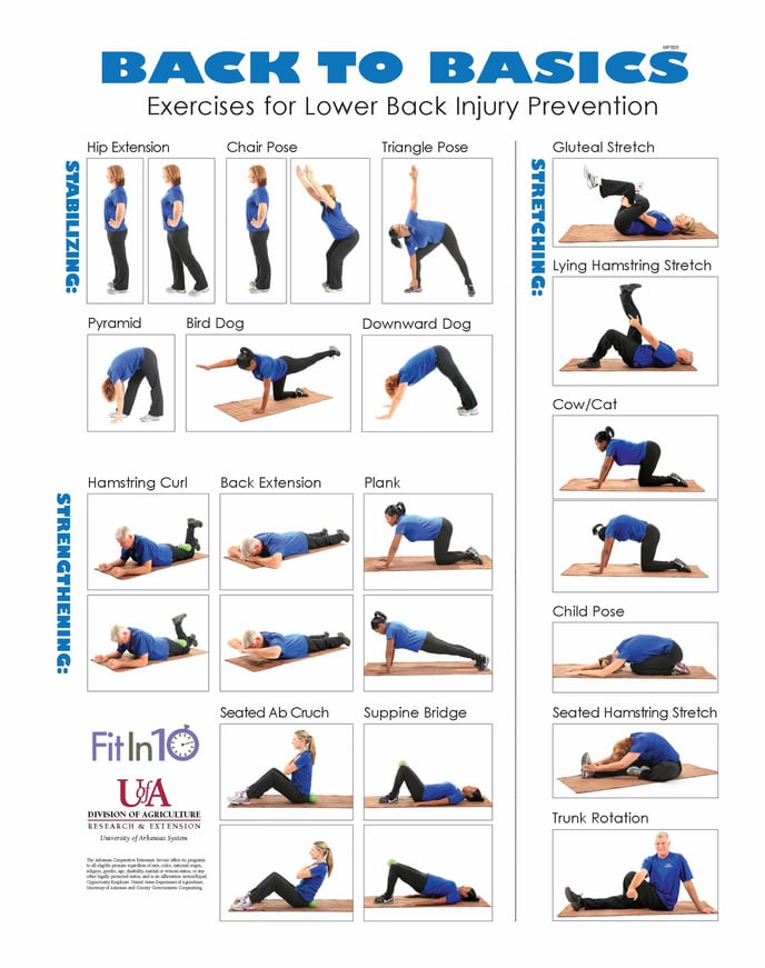 Exercises for Low Back Injury Prevention